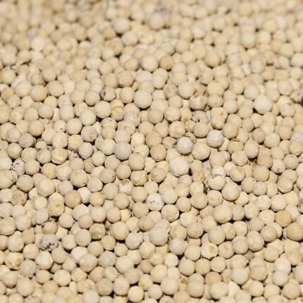 فلفل ابيض حب